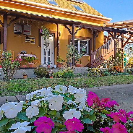 Hotel Holt-Tisza Vendeghaz Szegedin Exterior foto
