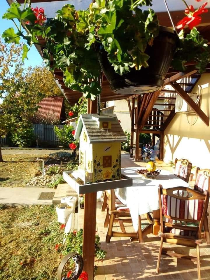Hotel Holt-Tisza Vendeghaz Szegedin Exterior foto