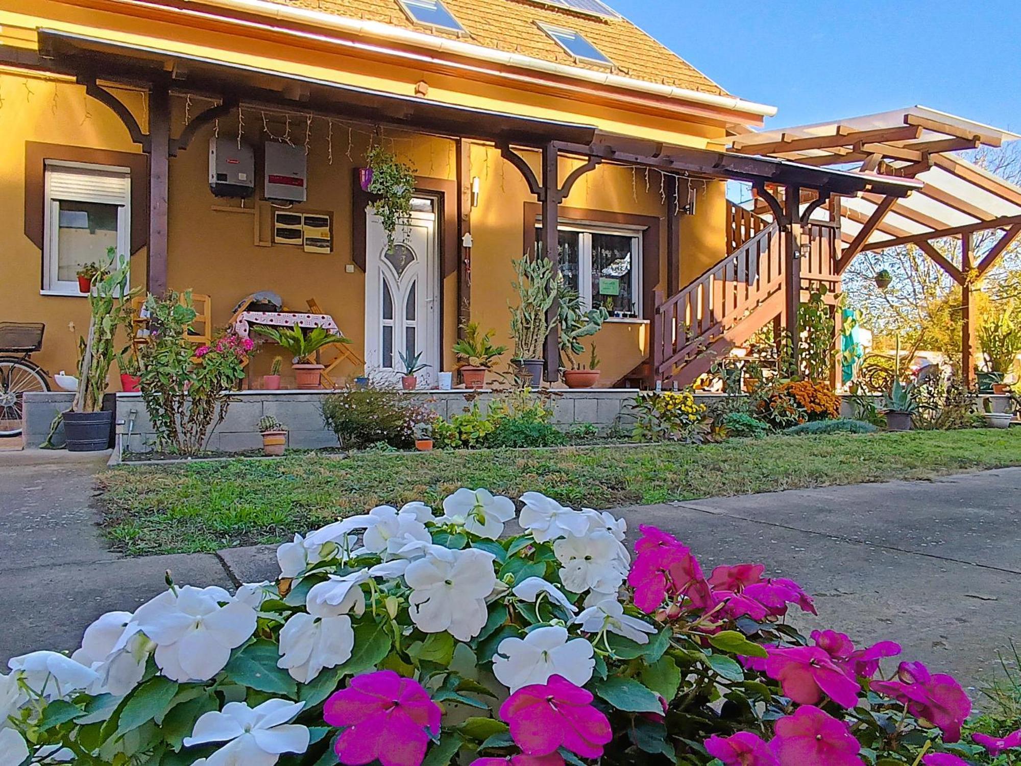 Hotel Holt-Tisza Vendeghaz Szegedin Exterior foto