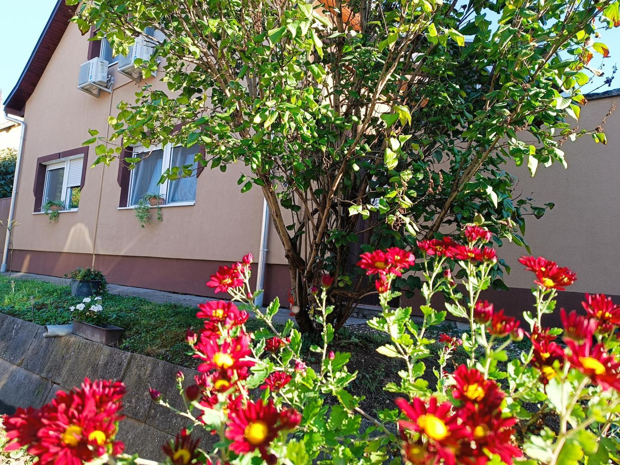Hotel Holt-Tisza Vendeghaz Szegedin Exterior foto